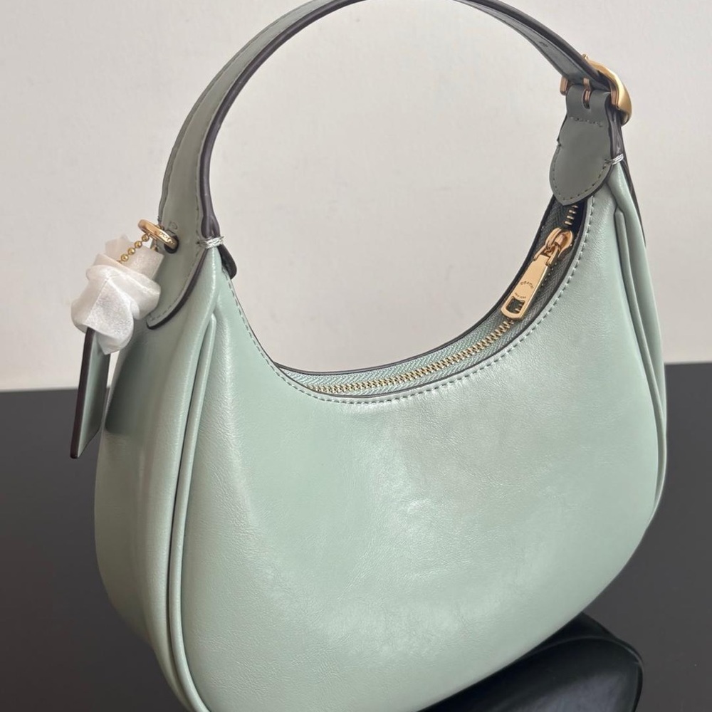 Coach Mint Green Leather Crescent Hobo Bag with Gold Hardware - Picture 4 of 9